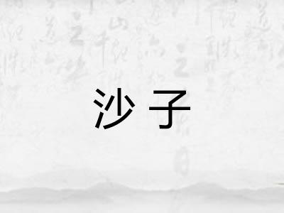 沙子