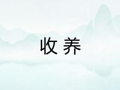 收养 收养