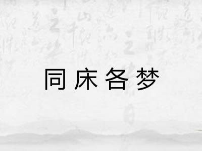同床各梦