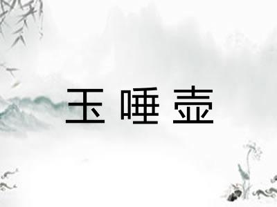 玉唾壶 玉唾壶