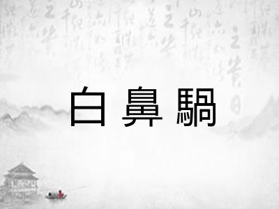 白鼻騧