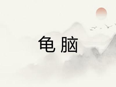 龟脑