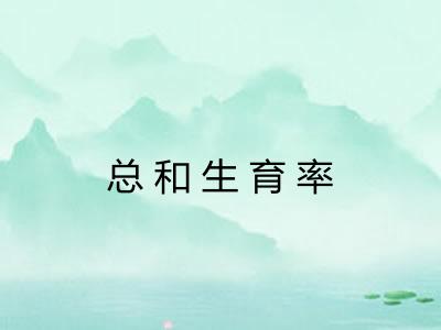 总和生育率 总和生育率
