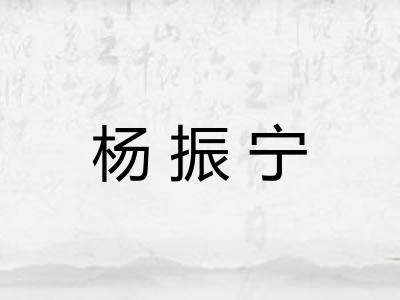 杨振宁 杨振宁