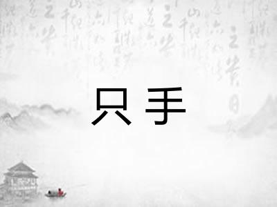只手