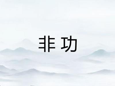 非功