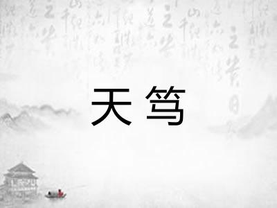 天笃