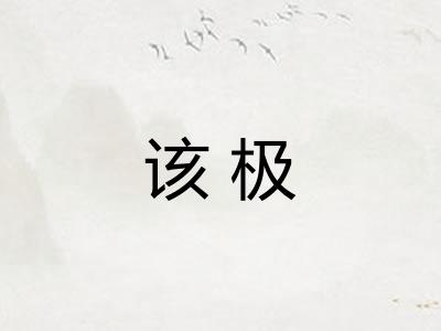 该极