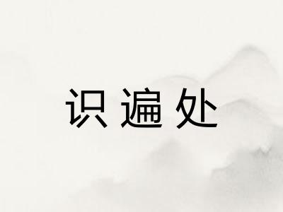 识遍处