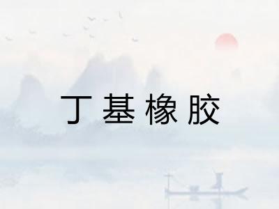 丁基橡胶