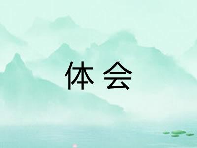体会