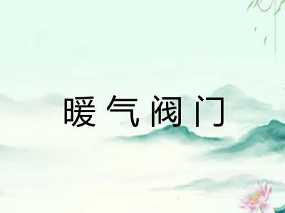 暖气阀门 暖气阀门