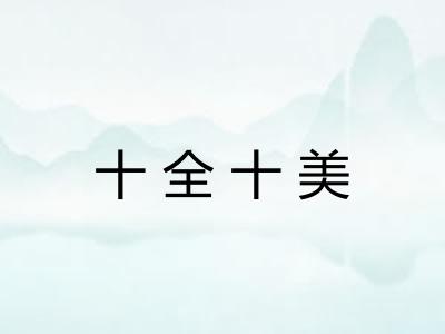 十全十美