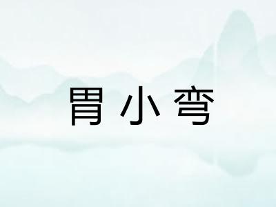 胃小弯