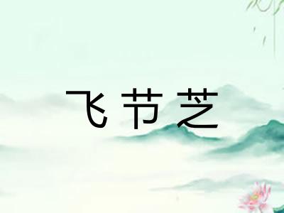 飞节芝