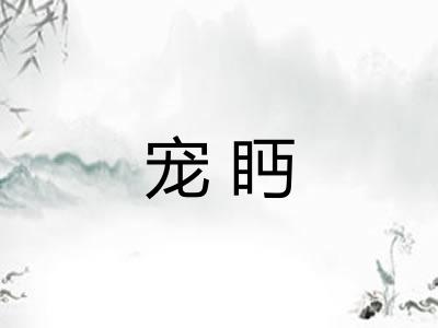 宠眄
