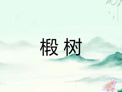 椴树