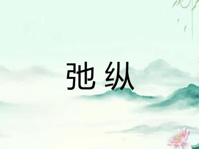 弛纵