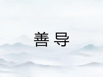 善导 善导