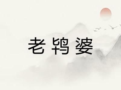 老鸨婆