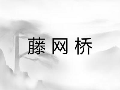 藤网桥