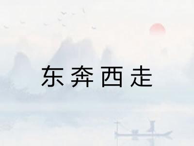 东奔西走