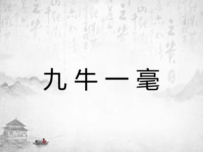 九牛一毫