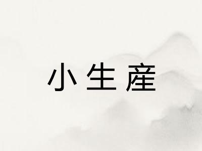 小生産