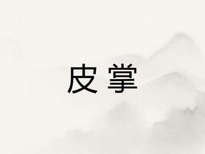皮掌