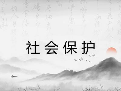 社会保护