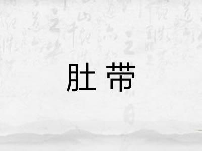 肚带 肚带