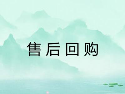 售后回购 售后回购