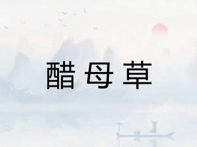 醋母草