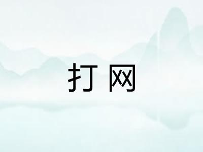 打网 打网