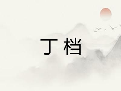丁档