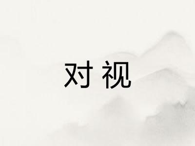 对视