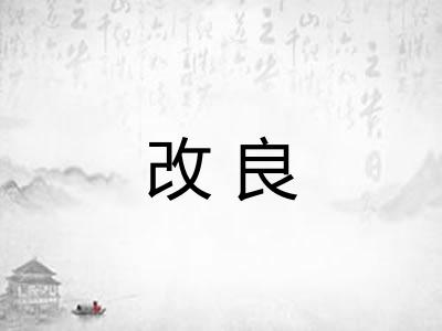 改良