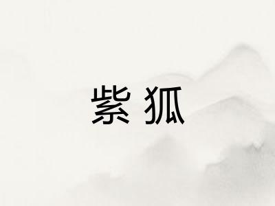 紫狐