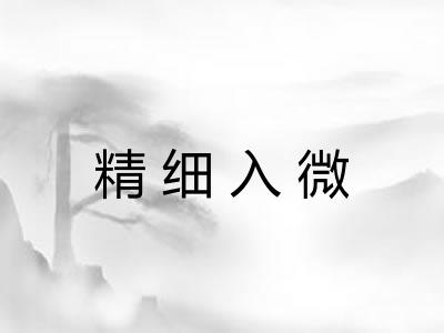 精细入微
