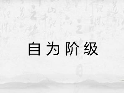 自为阶级 自为阶级