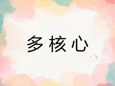 多核心