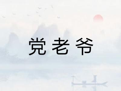 党老爷