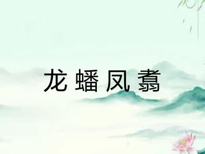龙蟠凤翥