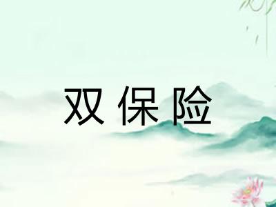 双保险
