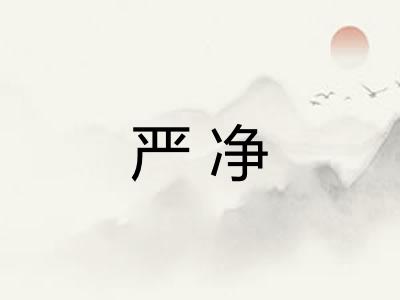 严净