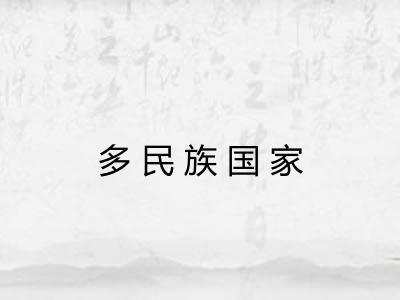 多民族国家