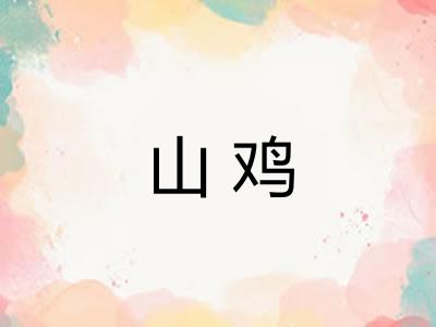 山鸡 山鸡