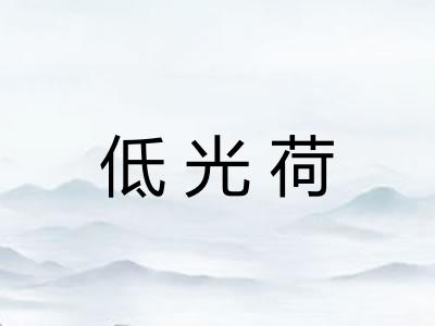 低光荷 低光荷