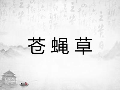 苍蝇草