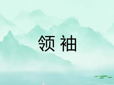 领袖